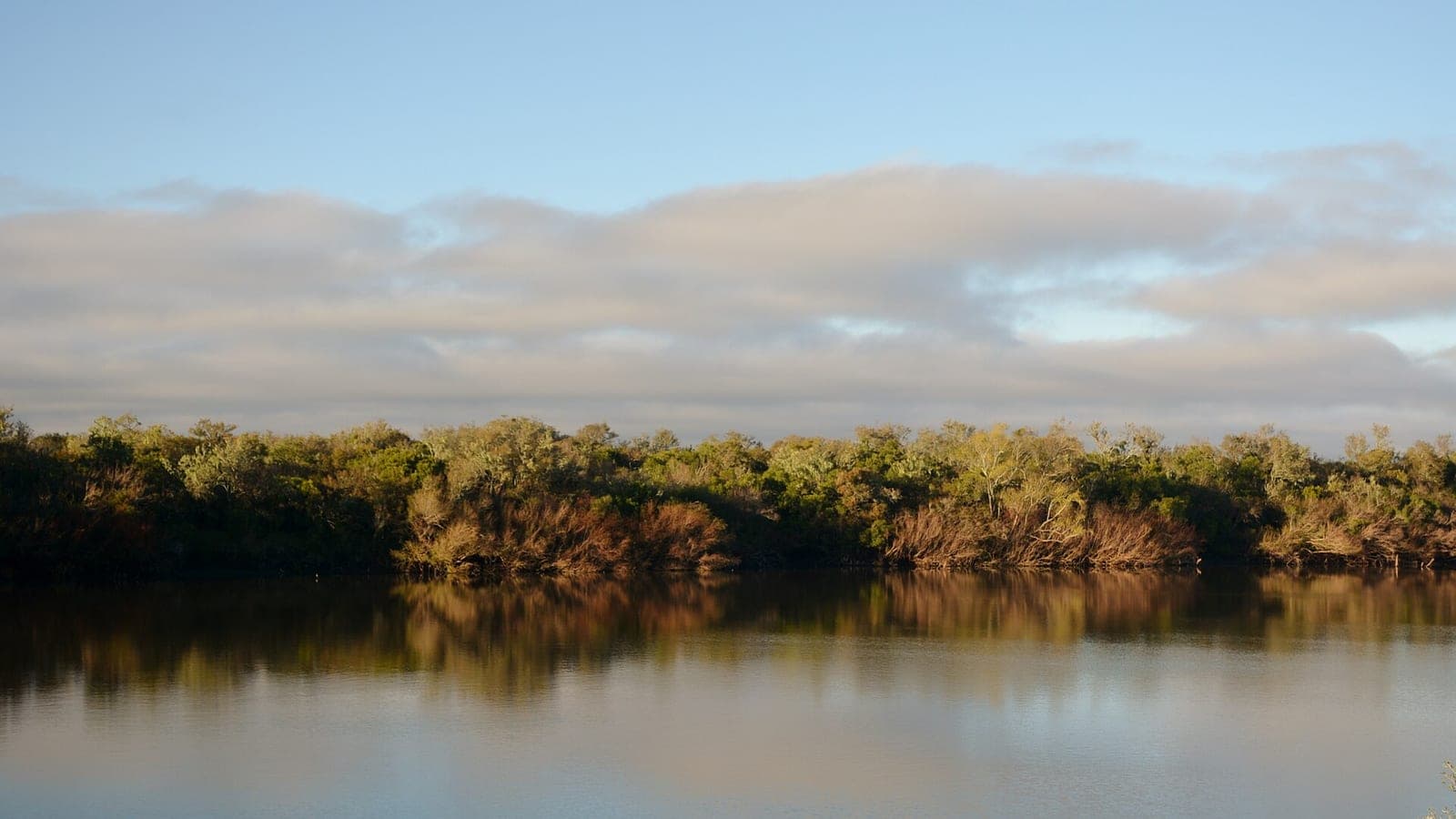 Río ancho y calmo reflejando una línea de monte nativo, con luz baja de atardecer