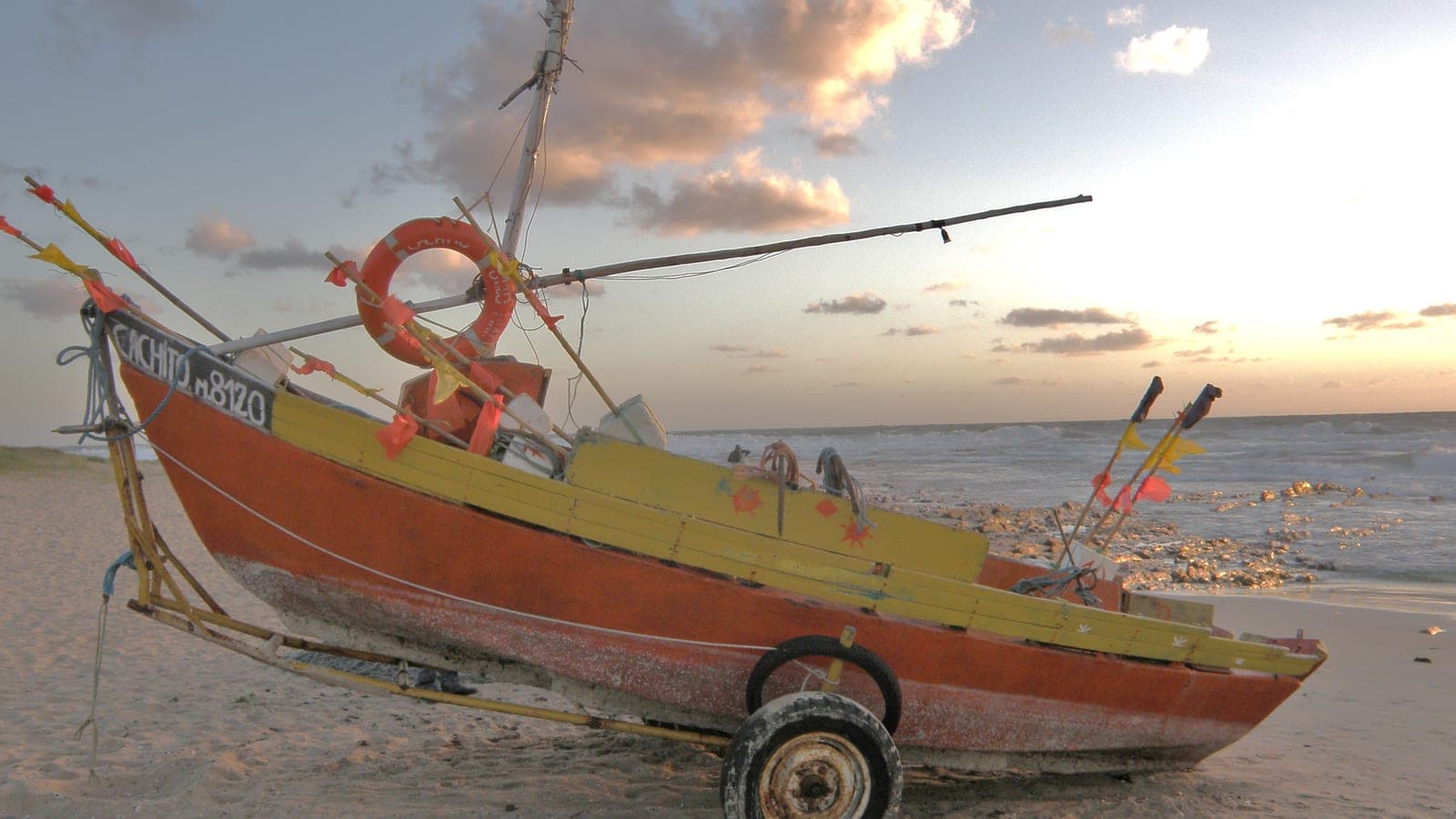 Fotografía relacionada con paloma, Uruguay
